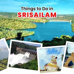 2 Days Srisailam Tour Package